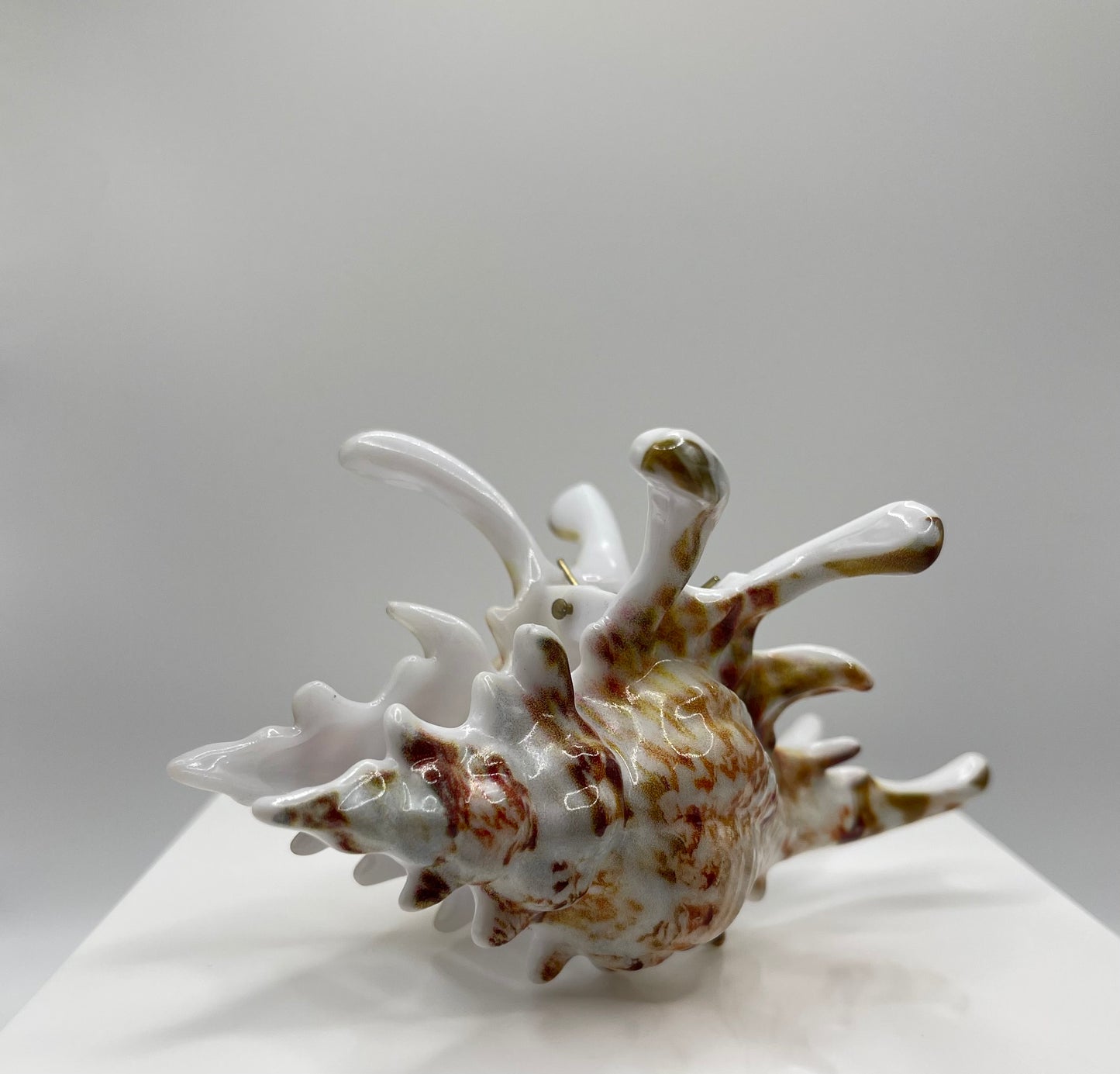 Tidal Treasure hair clip