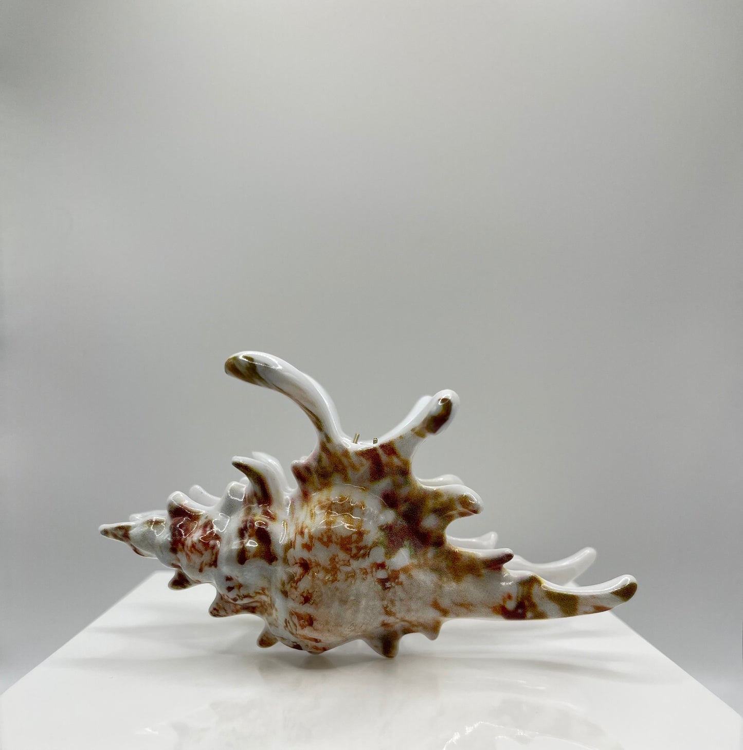 Tidal Treasure hair clip